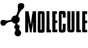 Molecule