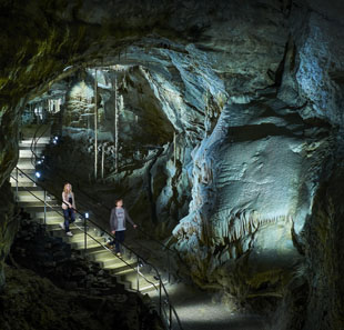 Pretpark DOMAINE DES GROTTES DE HAN HAN-SUR-LESSE