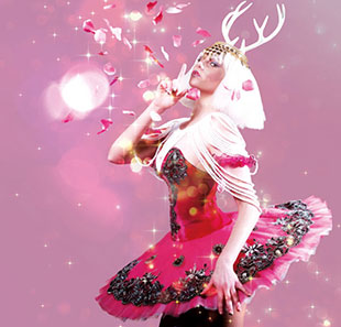Cabaret/Revue UTOPIA SPECTACLE SEUL INGRE