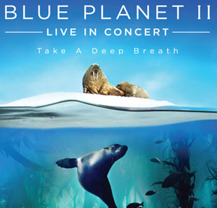 Documentaire BLUE PLANET II - LIVE IN CONCERT BRUXELLES-BRUSSEL