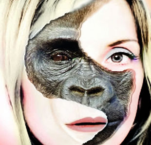 Hedendaags theater KING KONG THEORIE BRUXELLES - BRUSSEL Hedendaags theater KING KONG THEORIE BRUXELLES - BRUSSEL