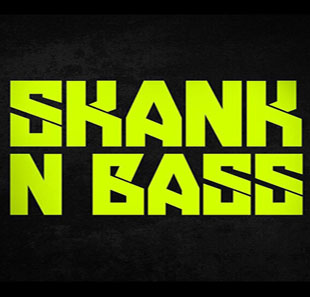 Electronische muziek 6 YEARS OF SKANK N' BASS ANTWERPEN Electronische muziek 6 YEARS OF SKANK N' BASS ANTWERPEN