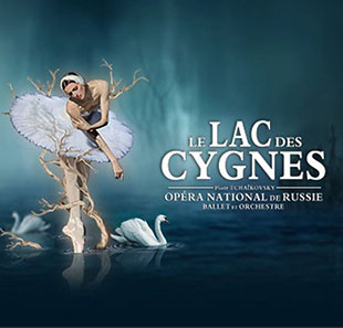 Danse classique LE LAC DES CYGNES MONS Danse classique LE LAC DES CYGNES MONS