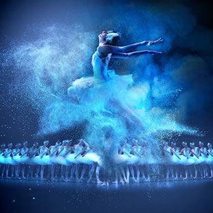 HET ZWANENMEER / LE LAC DES CYGNES 2019