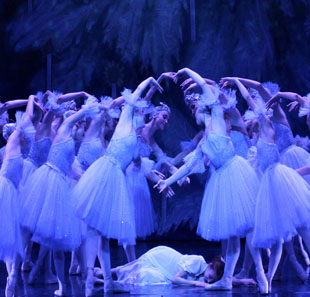 Groot evenement CASSE-NOISETTE THE MOSCOW CITY BALLET LOUVAIN-LA-NEUVE