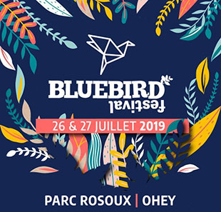 Pop-rock BLUEBIRD FESTIVAL 2019 - ONE DAY OHEY