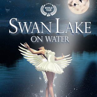 Klassiek dans SWAN LAKE ON THE WATER Het Zwanenmeer/Le Lac des Cygnes BRUXELLES-BRUSSEL Klassiek dans SWAN LAKE ON THE WATER Het Zwanenmeer/Le Lac des Cygnes BRUXELLES-BRUSSEL