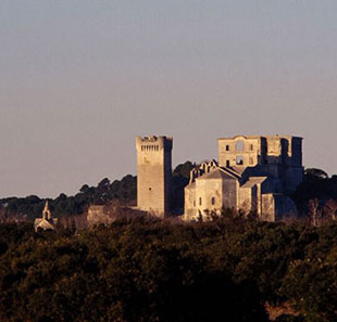 Monumentenbezoek ABBAYE DE MONTMAJOUR ARLES