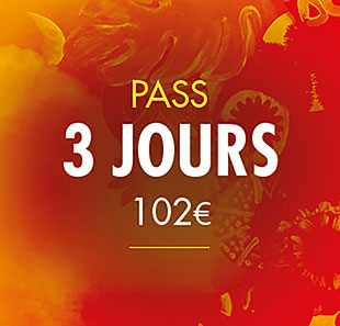 Internationaal varieté SOLIDAYS 2020 - PASS 3 JOURS 102¤ VALABLE DU 19 AU 21 JUIN 2020 PARIS