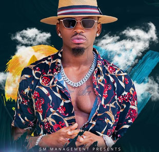 Rap/Hip-Hop/Slam DIAMOND PLATNUMZ LIVE BRUXELLES