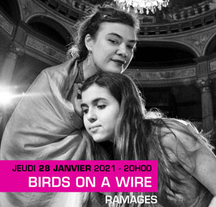 Barok muziek RAMAGES BIRDS ON A WIRE PLAN-LES-OUATES