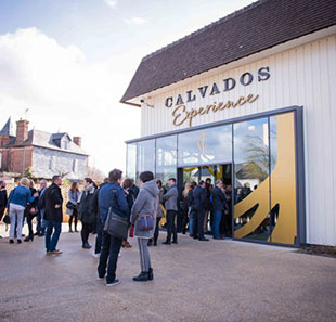 CALVADOS EXPERIENCE CALVADOS EXPERIENCE