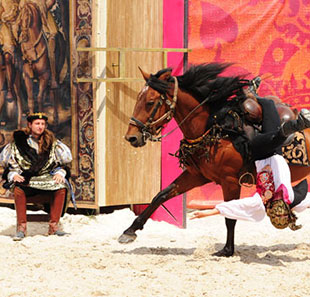 SPECTACLE CHEVAUX ET RAPACES SPECTACLE CHEVAUX ET RAPACES