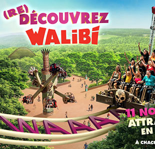 WALIBI RHÔNE-ALPES - BILLET DATÉ WALIBI RHÔNE-ALPES - BILLET DATÉ