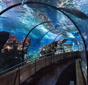 AQUARIUM DE BARCELONE