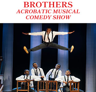 THE BLACK BLUE BROTHERS