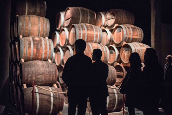 CALVADOS EXPERIENCE CALVADOS EXPERIENCE