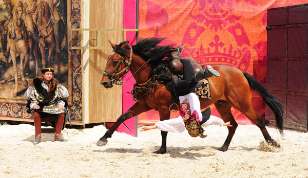 SPECTACLE CHEVAUX ET RAPACES SPECTACLE CHEVAUX ET RAPACES