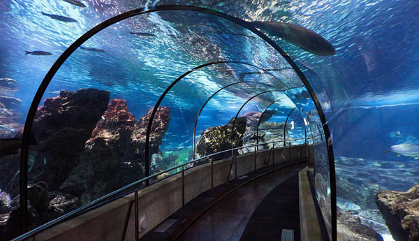 AQUARIUM DE BARCELONE